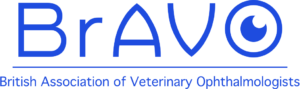 BrAVO Logo