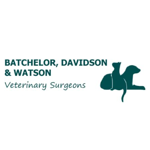 Experienced Ophthalmologist to Lead Service at Batchelor, Davidson and Watson Vets (Edinburgh, UK)