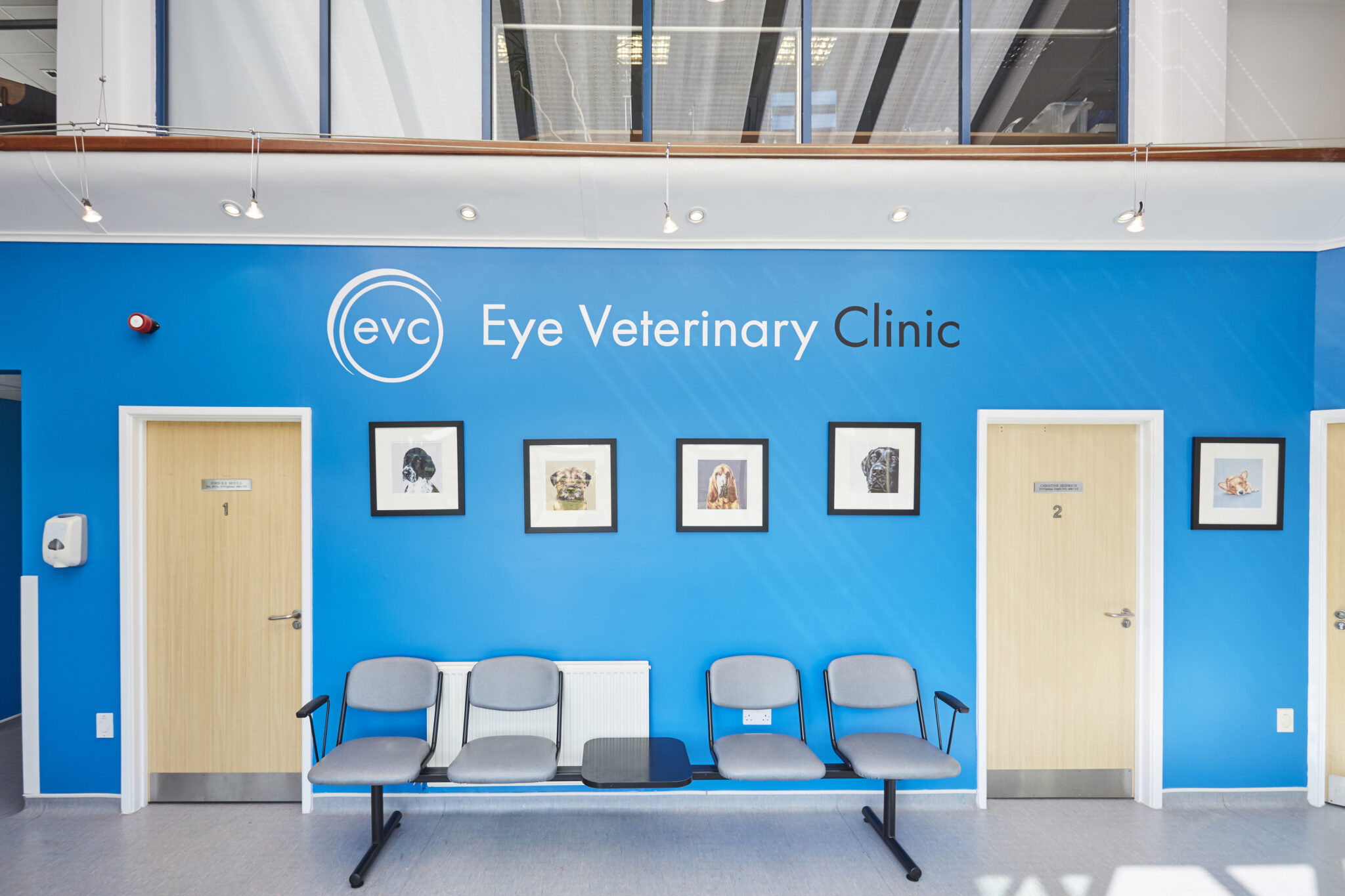 Veterinary Ophthalmology Internship Position at the Eye Veterinary