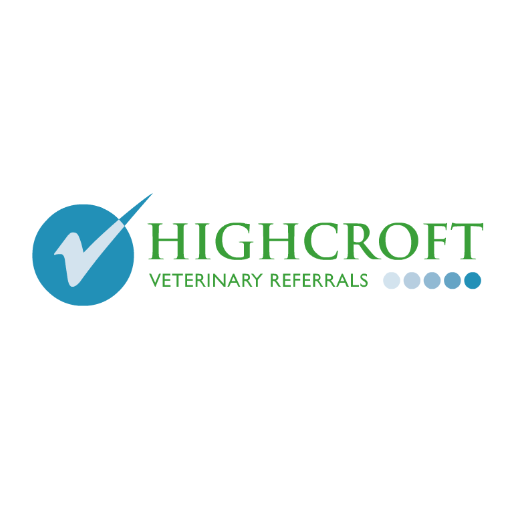 Board-certified or Experienced Referral Ophthalmologist – Highcroft Referrals (Bristol, UK)