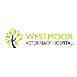 Veterinary Ophthalmologist Role at Westmoor Veterinary Hospital (Devon, UK)