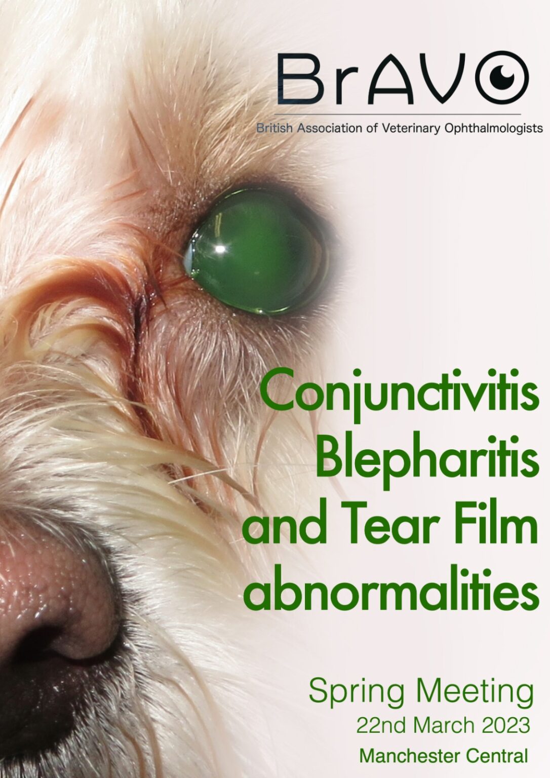 Recordings of BrAVO Spring Meeting 2023 Conjunctivitis, Blepharitis