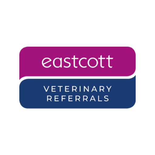 Referral Ophthalmologist Role at Eastcott Veterinary Referrals (Wiltshire, UK)