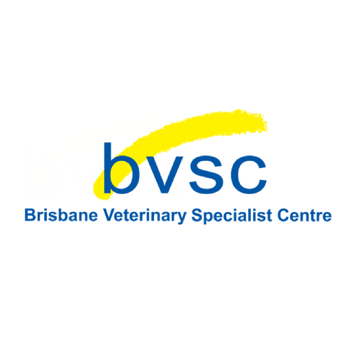 Veterinary Ophthalmologist Wanted (Brisbane, Australia)
