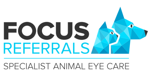 Focus Ref